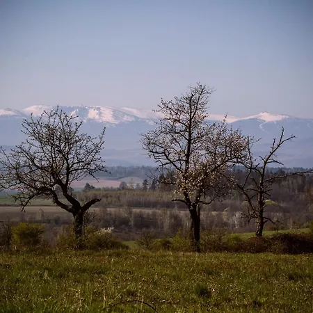 Flowland Tarczyn *