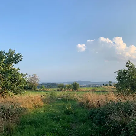 Flowland Tarczyn Daire Tarczyn (Lwowek Slaski)
